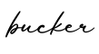 单词bucker书写