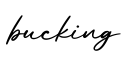 单词bucking书写