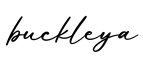 单词buckleya书写