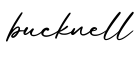 单词bucknell书写