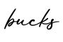 单词bucks书写