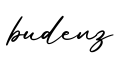 单词budenz书写