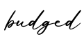 单词budged书写