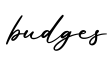 单词budges书写