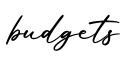 单词budgets书写