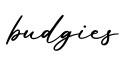 单词budgies书写