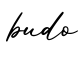 单词budo书写