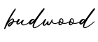 单词budwood书写