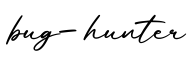 单词bug-hunter书写