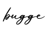 单词bugge书写