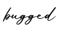 单词bugged书写
