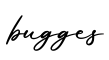 单词bugges书写