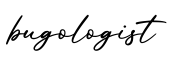 单词bugologist书写
