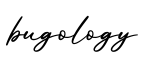 单词bugology书写