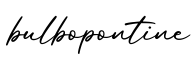 单词bulbopontine书写