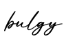 单词bulgy书写