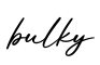 单词bulky书写