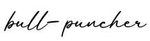 单词bull-puncher书写