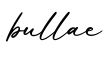 单词bullae书写