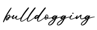 单词bulldogging书写