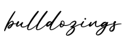 单词bulldozings书写