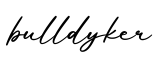 单词bulldyker书写