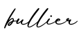单词bullier书写