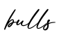 单词bulls书写