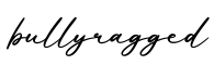 单词bullyragged书写