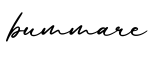 单词bummare书写