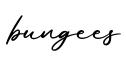 单词bungees书写