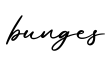 单词bunges书写