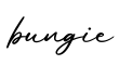 单词bungie书写