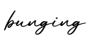 单词bunging书写
