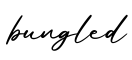 单词bungled书写