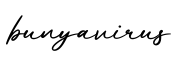 单词bunyavirus书写