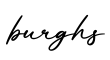 单词burghs书写