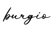 单词burgio书写