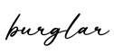 单词burglar书写