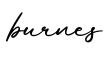 单词burnes书写