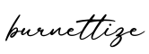 单词burnettize书写
