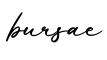 单词bursae书写