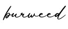 单词burweed书写