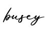 单词busey书写