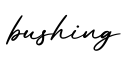 单词bushing书写