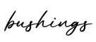单词bushings书写