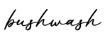 单词bushwash书写
