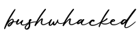 单词bushwhacked书写