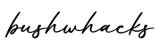 单词bushwhacks书写