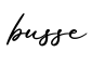 单词busse书写